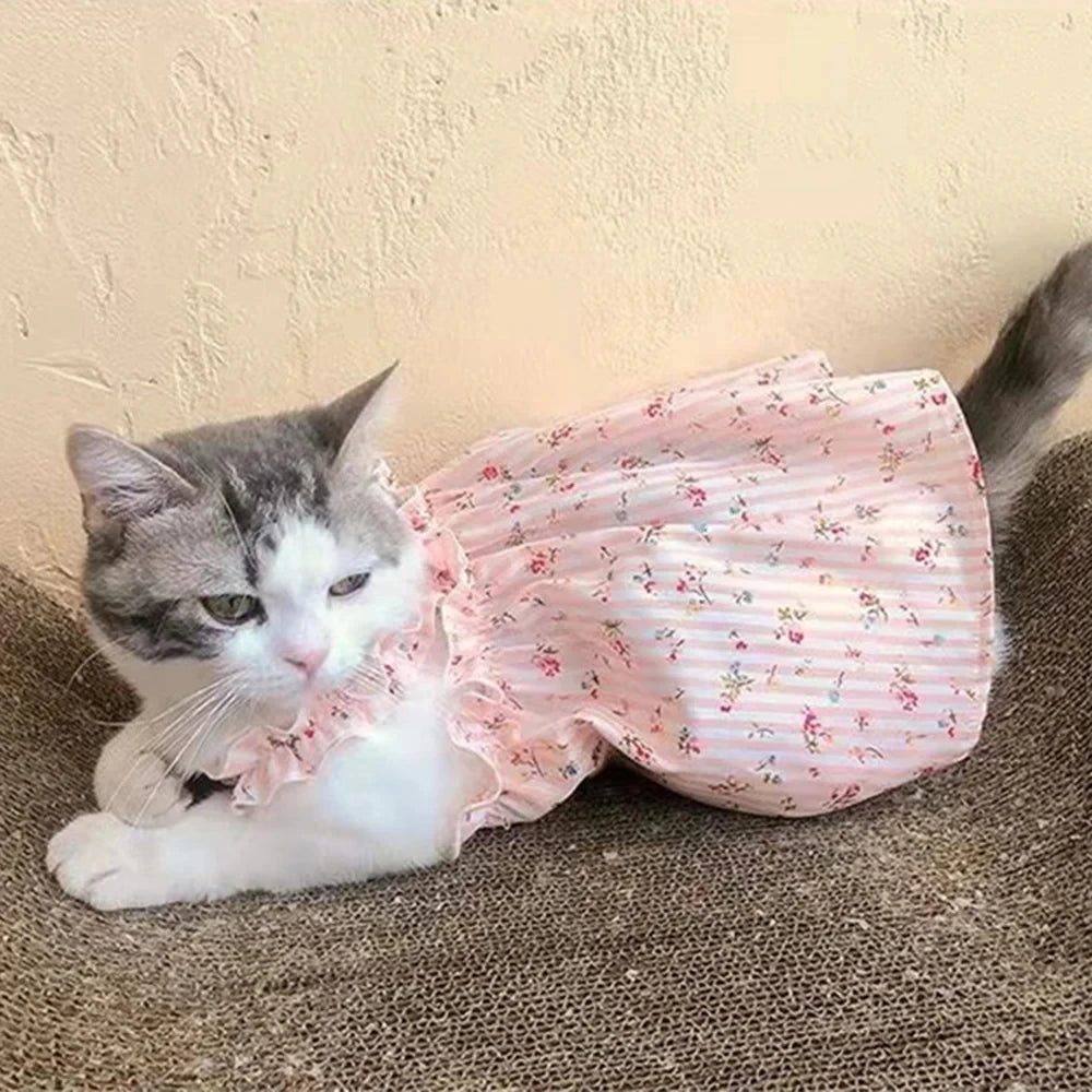 Pet Clothes Spring/Summer Small Cat/Dog Small Daisy Shoulder Strap Princess Dress Pet clothes Kitten/Dog Gentle dress