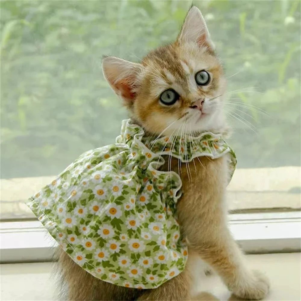 Pet Clothes Spring/Summer Small Cat/Dog Small Daisy Shoulder Strap Princess Dress Pet clothes Kitten/Dog Gentle dress